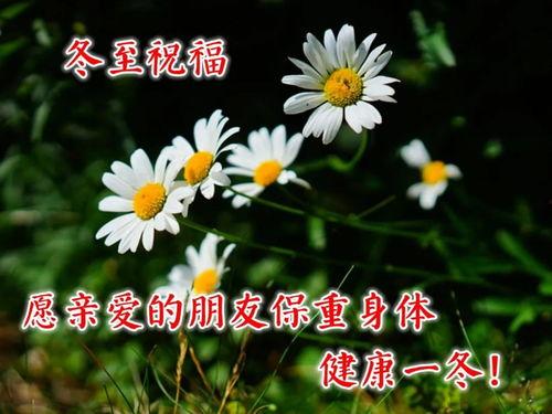 早安爆料大蘑菇视频,早安爆料视频背后的惊人真相